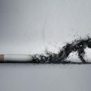 В России решили вывести табак из легального оборота